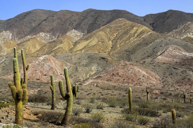 Los Cardones N.P.