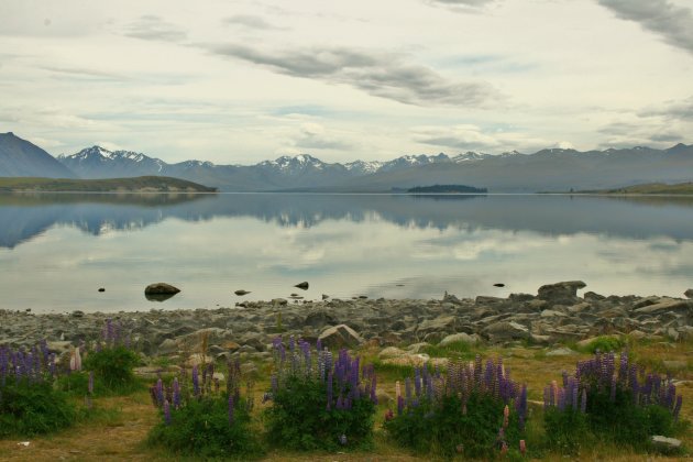 Lake Tekapo