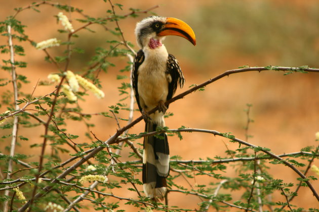 Welkom in Kenia