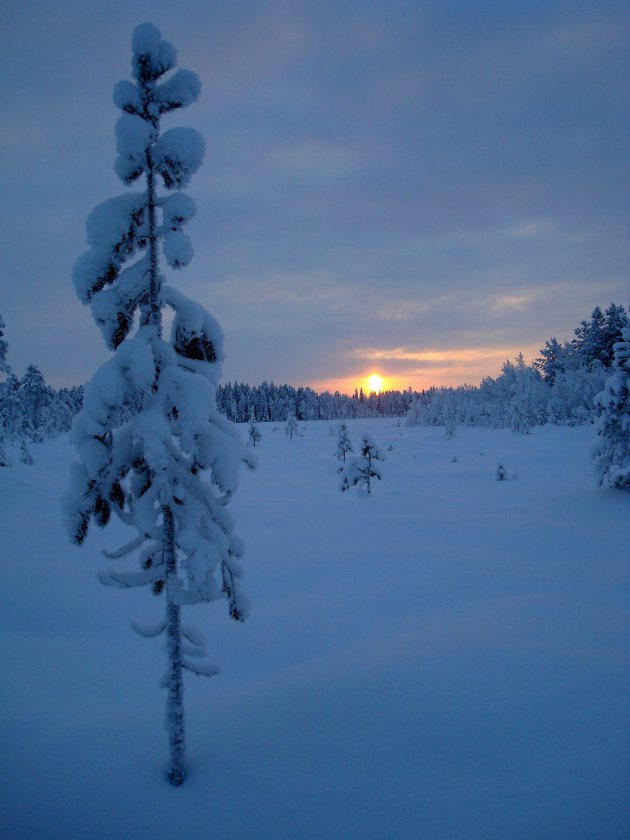 Fins Lapland in januari om 12 uur 's middags, de zon op zijn hoogste punt