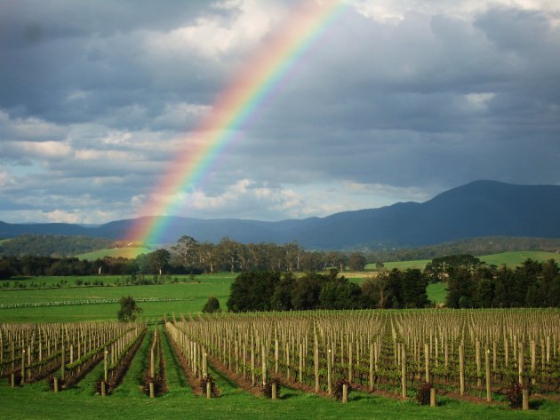 Regenboog over Yarra Valley