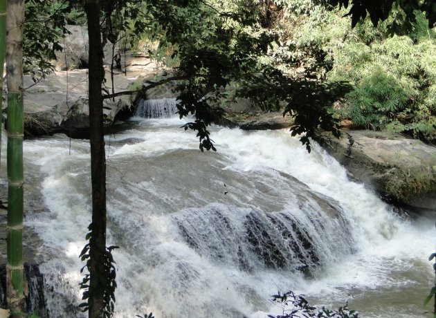 wild water bergstroom