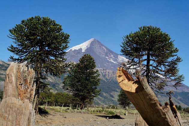 Volcan Lanin