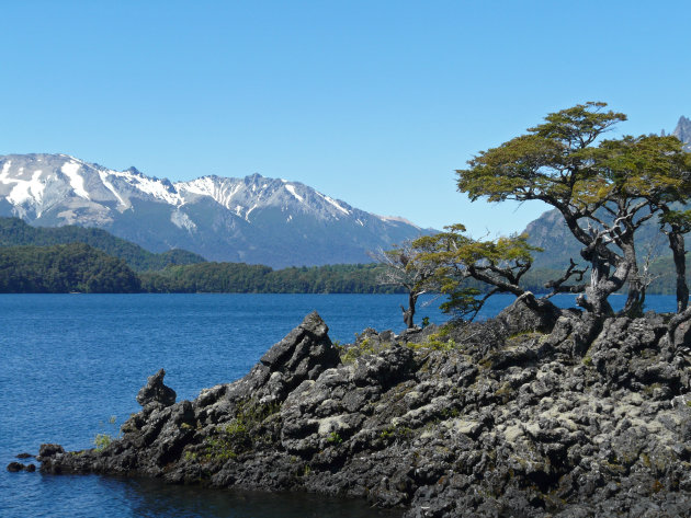 Natural bonsai