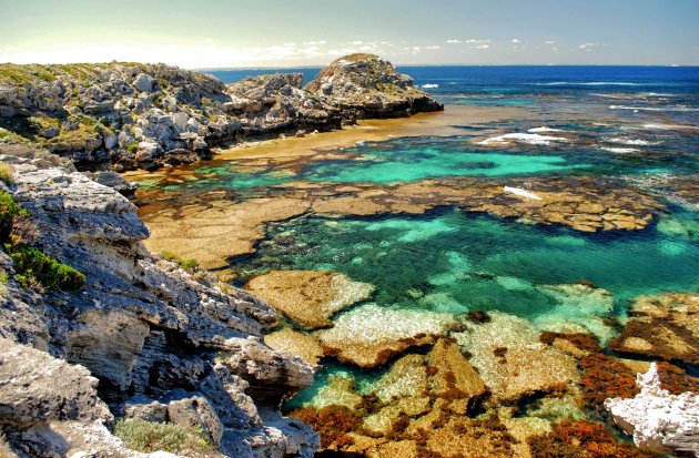 Rottnest Island!