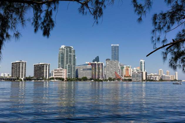 Miami Skyline