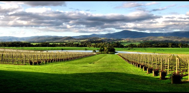 Yarra Valley