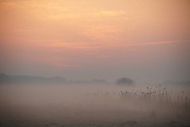 woensdagmorgen 07.22 uur