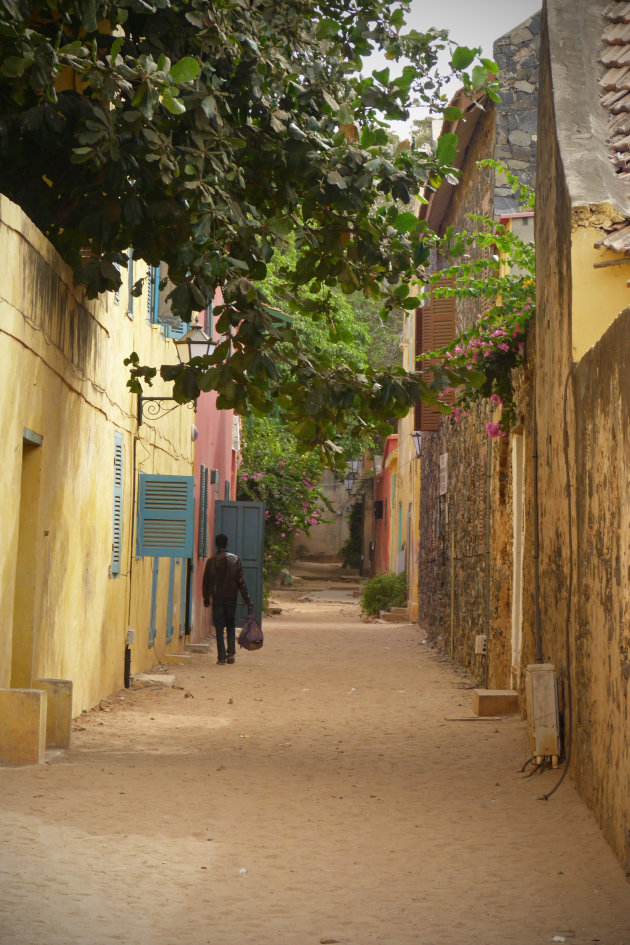 Mooi straatje op Ile de Goree