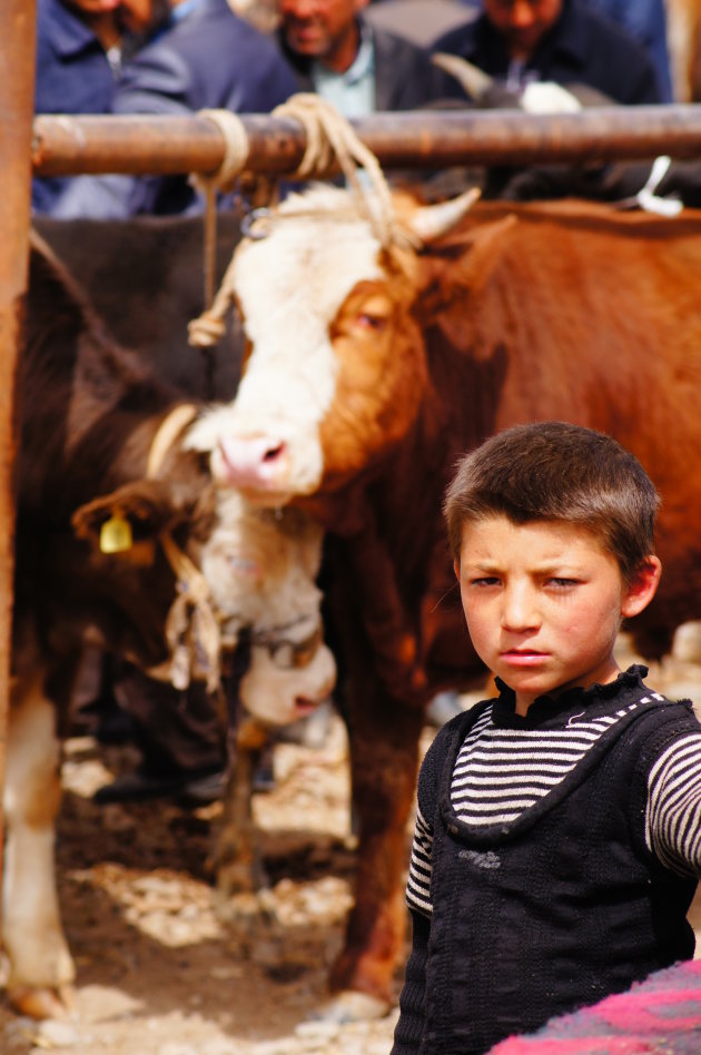 De indruk van een jongetje op de livestockmarket in Kashgar