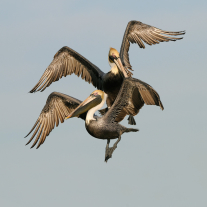 '357163' door Harry-Eggens