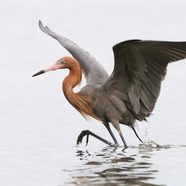 '358687' door Harry-Eggens