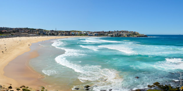 Bondi Beach