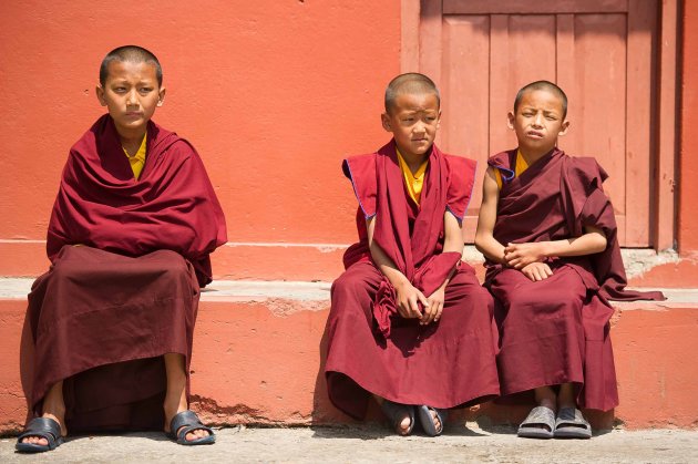 3 jonge monniken
