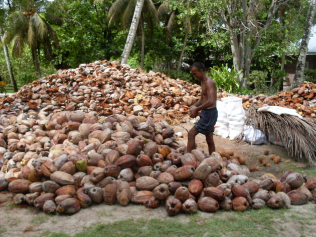 cocosolie maken