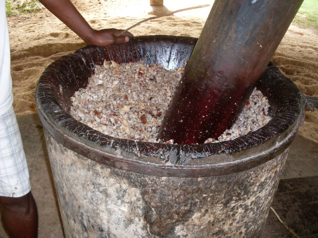 produktie proces cocosolie