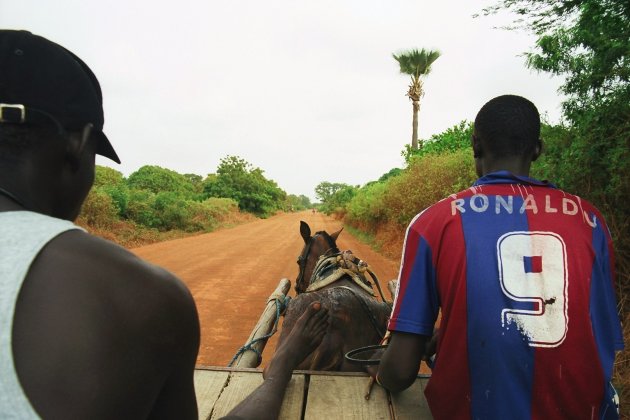 anderhalve man en een paardenkop