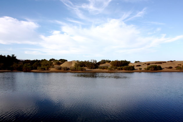 Las dunas de Maspalomas