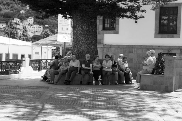 Gezelligheid onder de boom op Plaza del Pino