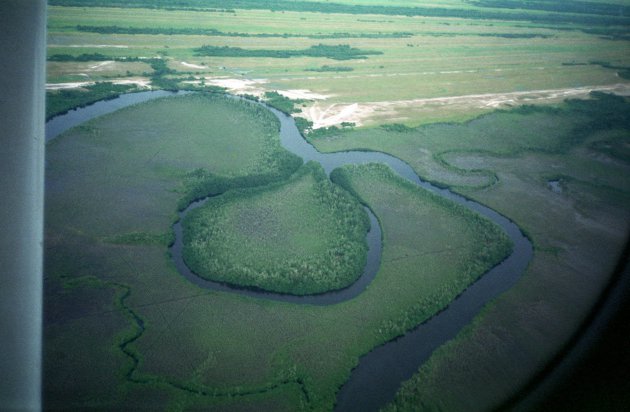 Laagland van Gabon