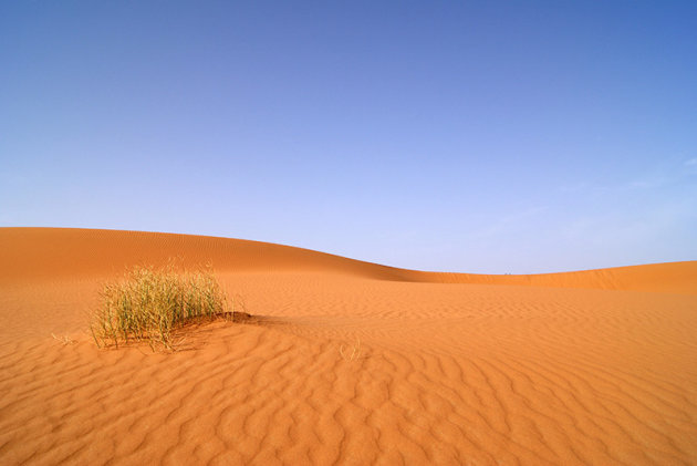 Erg Chebbi