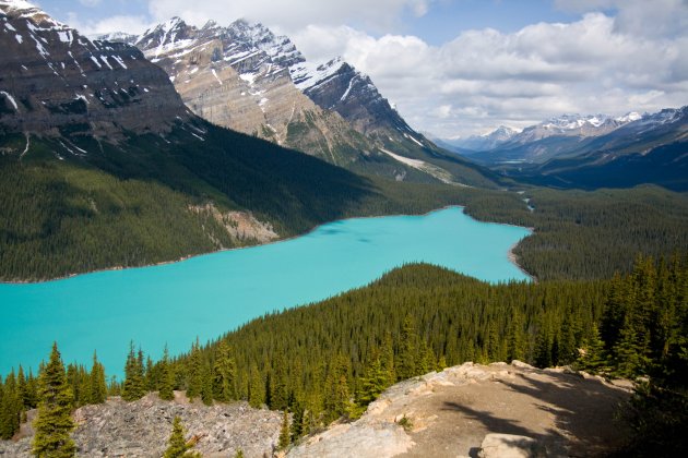 Peyto Lake