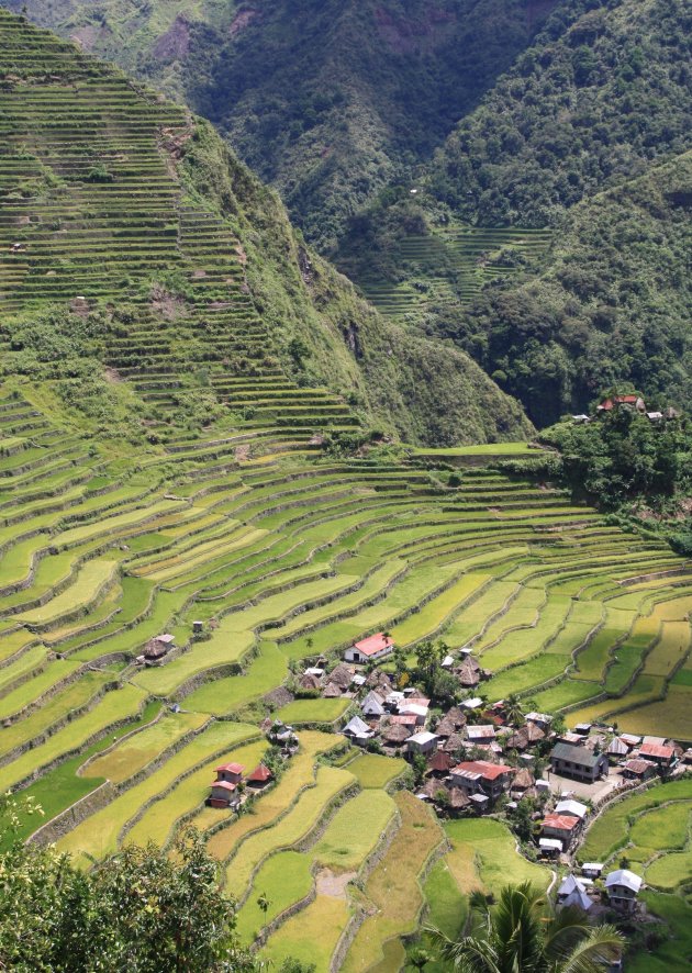 Rijstterrassen, Batad