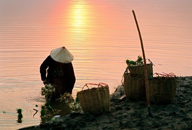 Groente wassen in de Mekong rivier