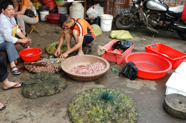 Kikkerslager in Yichang