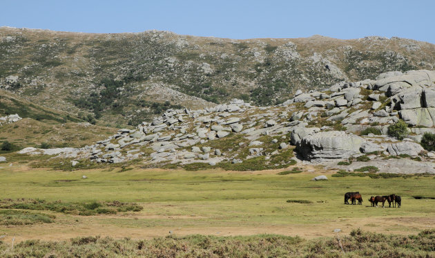 Plateau de Coscione