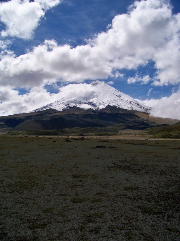 Cotopaxi Vulkaan Ecuador
