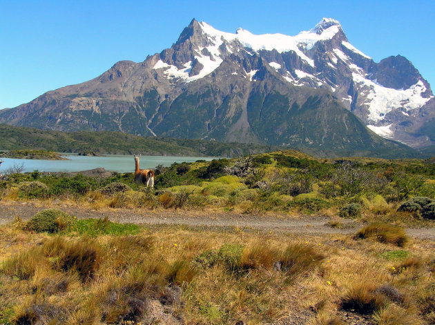 NP Torres del Paine