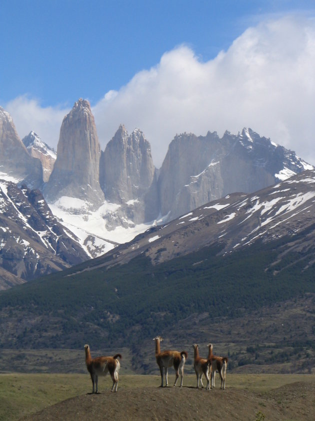 Torres del Paine