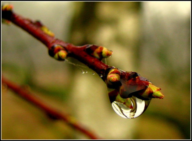 herfst