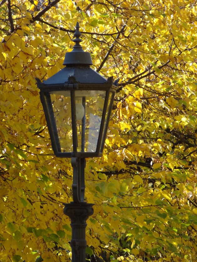 Herfst in Dresden