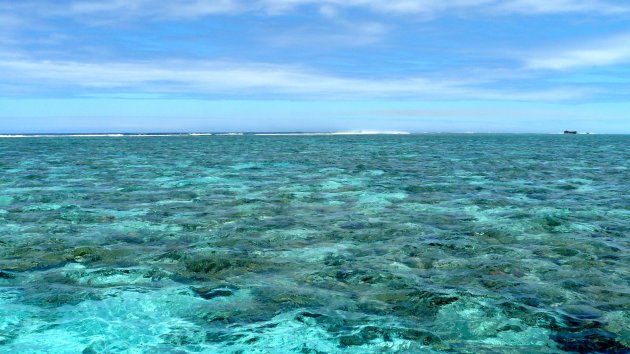 het reef voor de kust van Noumea