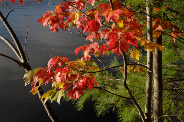 Herfst in de Adirondacks