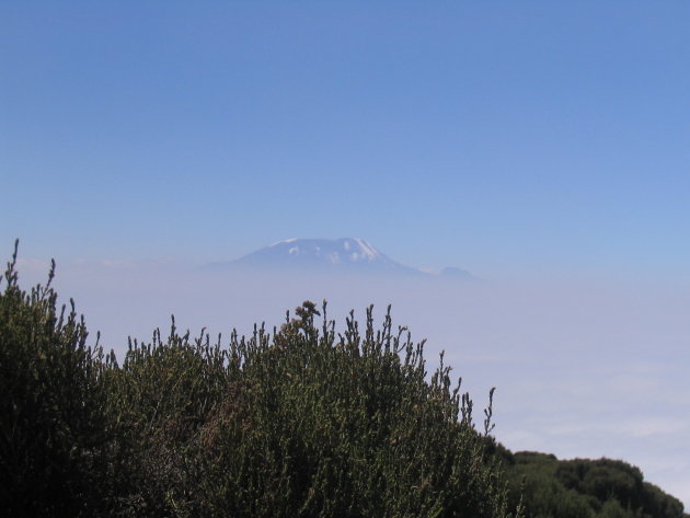 Zicht op de Kilimanjaro vanaf de Mount Meru