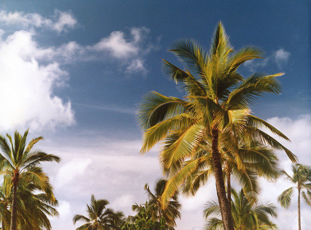 Waikiki Beach