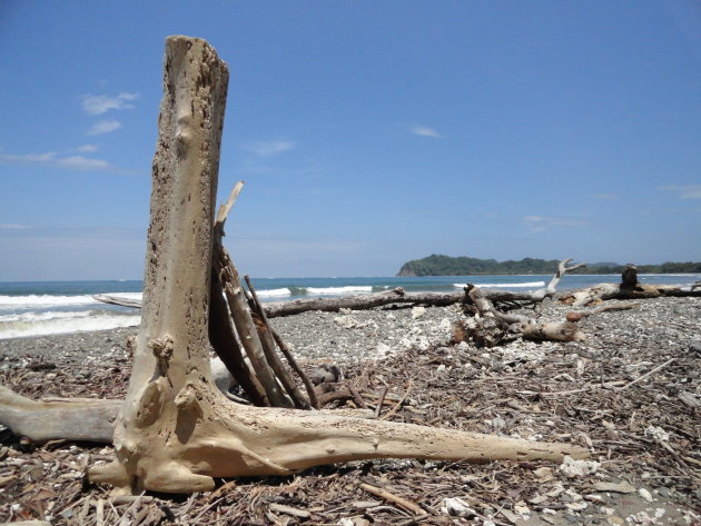 Verlaten Robinson strand in National Parc Cahuita