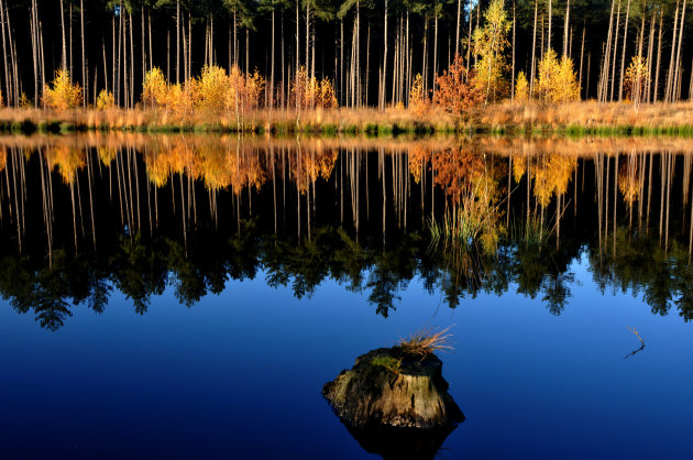 weerkaatsing herfst