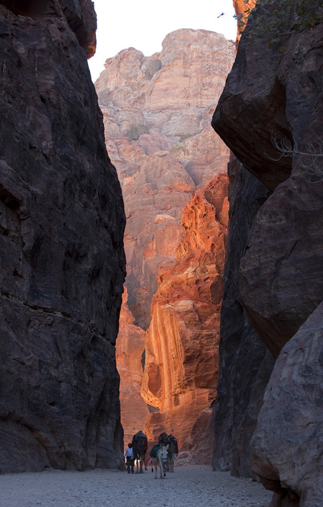 Kamelen herder loopt door slucht in Petra.