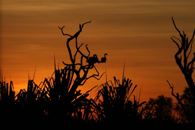 zonsondergang Kakadu NP