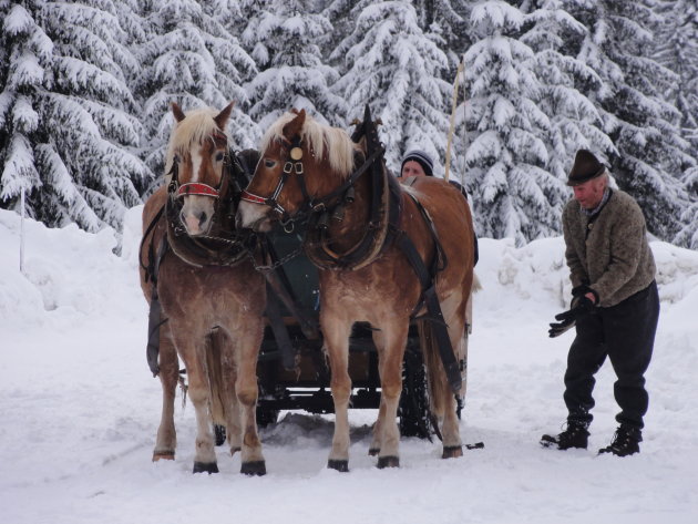 Arrenslee, Kleinwalsertal