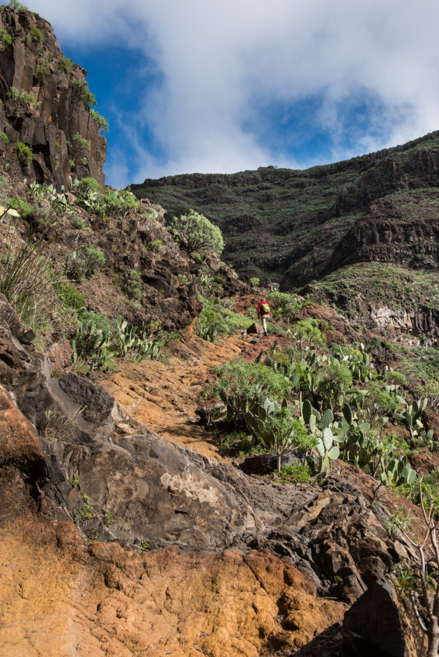 Wandelen op La Gomera