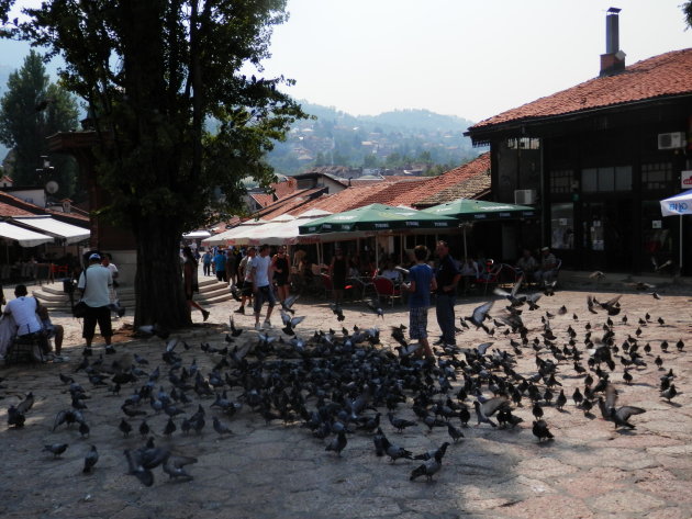 Een groep duiven op een pleintje in Sarajevo