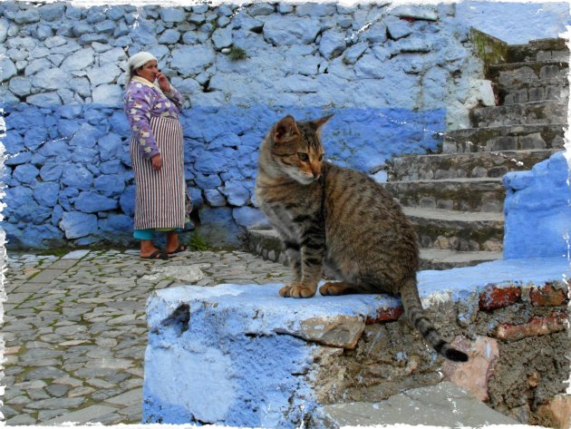 poezenstad Chefchaouen