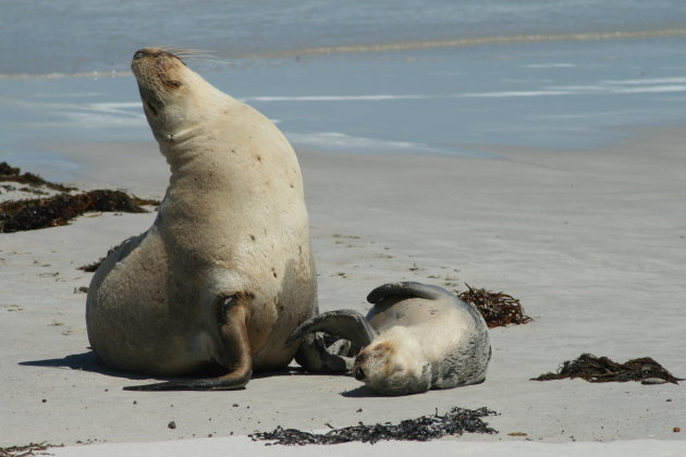 Liefde is samen relaxen