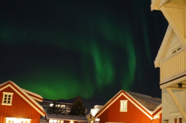 Noorderlicht lofoten, Svolvaer