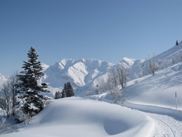 Oberlech bove de petersbahn in het natuurgebied.